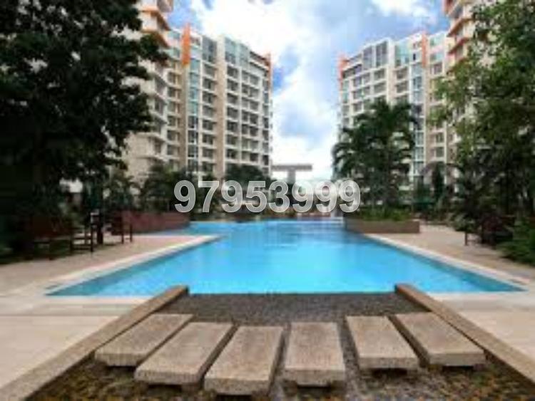 Compass Heights (D19), Apartment #108676932